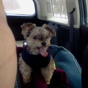 Meet your Posher, Janet